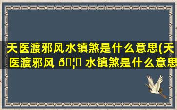 天医渡邪风水镇煞是什么意思(天医渡邪风 🦆 水镇煞是什么意思啊)